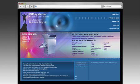 IGB Systems Website Screenshot
