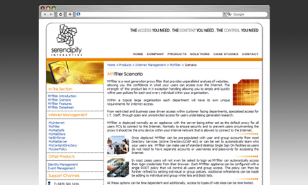Serendipity Interactive Website