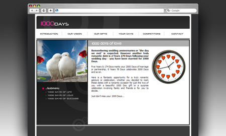 1000 Days Website Screenshot
